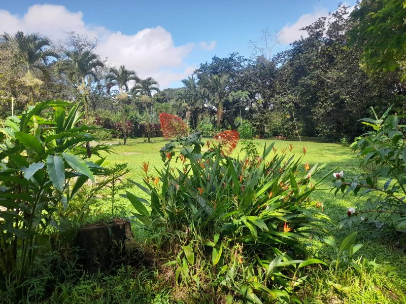 Linda Propiedad en La Virgen de Sarapiquí