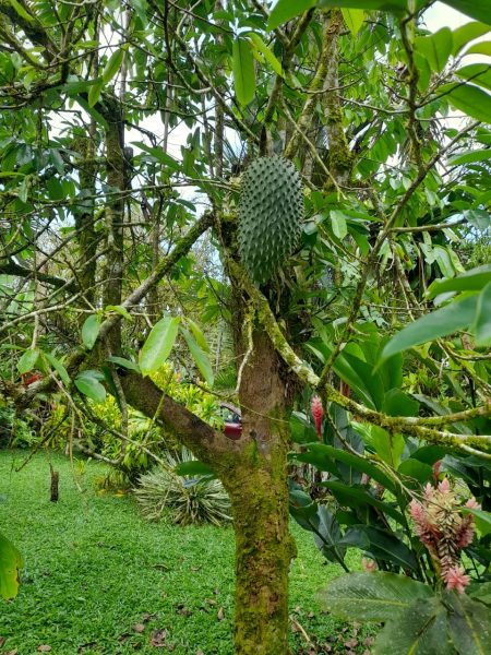 Linda Propiedad en La Virgen de Sarapiquí